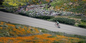 spring cycling