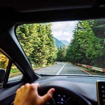 man driving on the mountain road surrounded by forest, personal perspective view