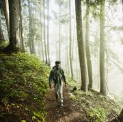 Man hiking along trail in forest on foggy morning