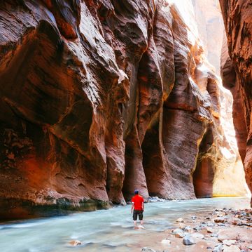 best national parks  man hiking in the narrows, zion national park, usa