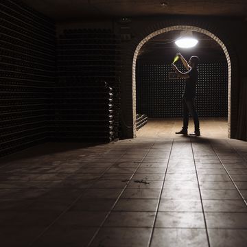 man in wine cellar checking bottle on light
