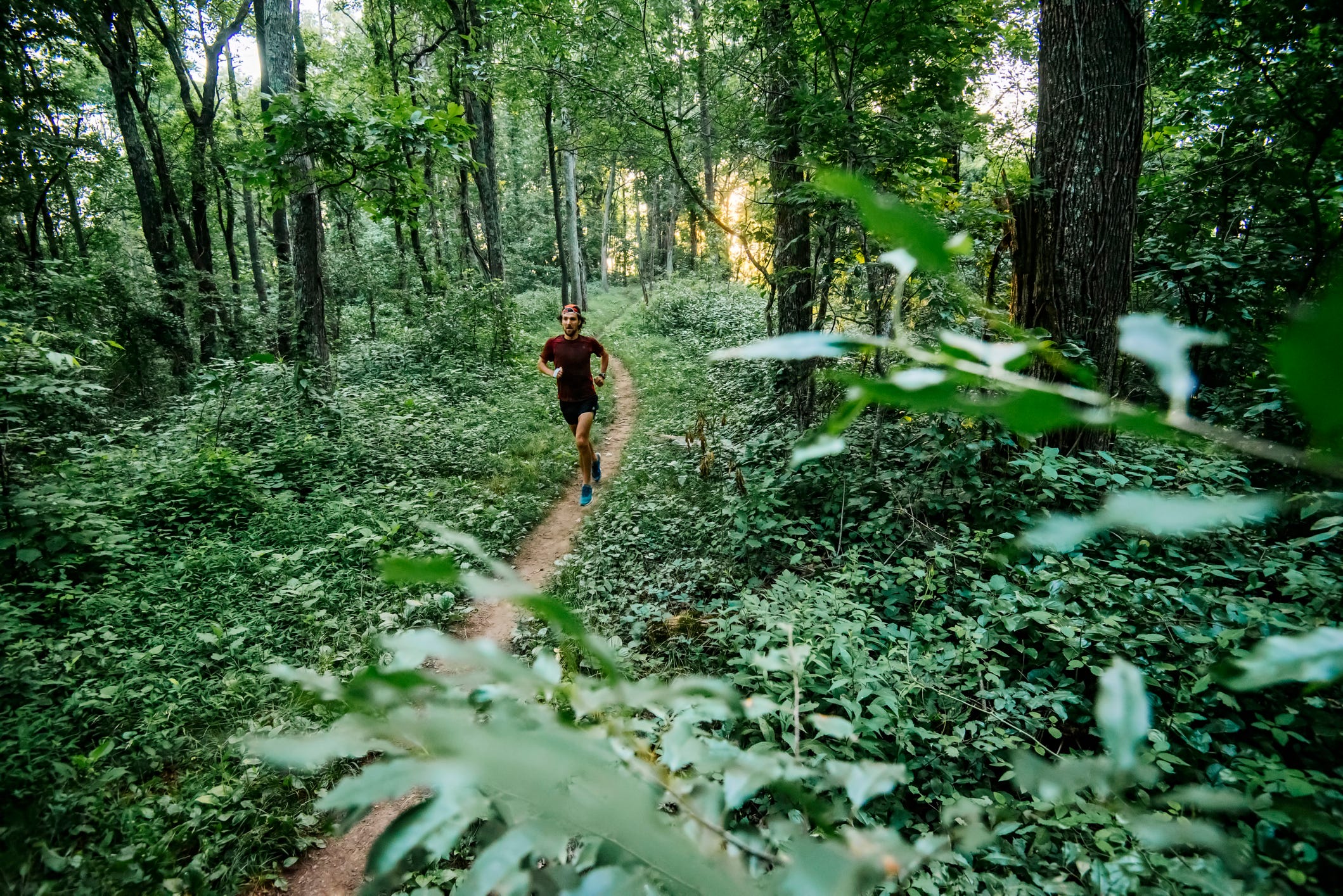 Man jogging in forest along Mountain to Sea Trail, Asheville, North Carolina, USA