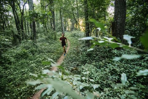 Man jogging in forest along Mountain to Sea Trail, Asheville, North Carolina, USA