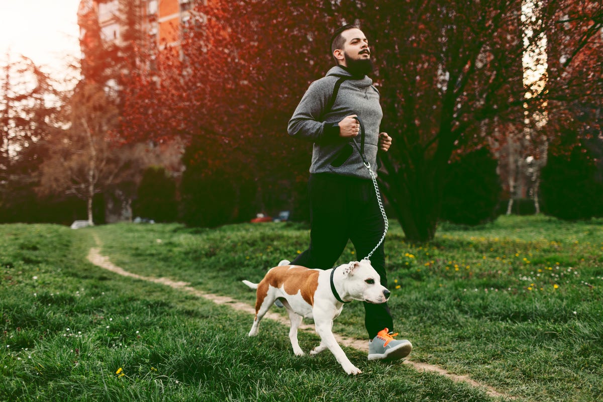 Vier voordelen van een hond als trainingsmaatje