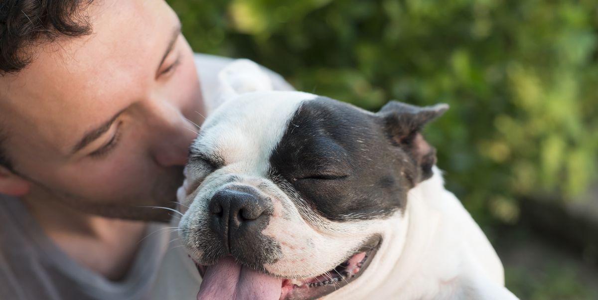 The AKC's Annual List of Popular Dog Breeds Has Some Major Changes