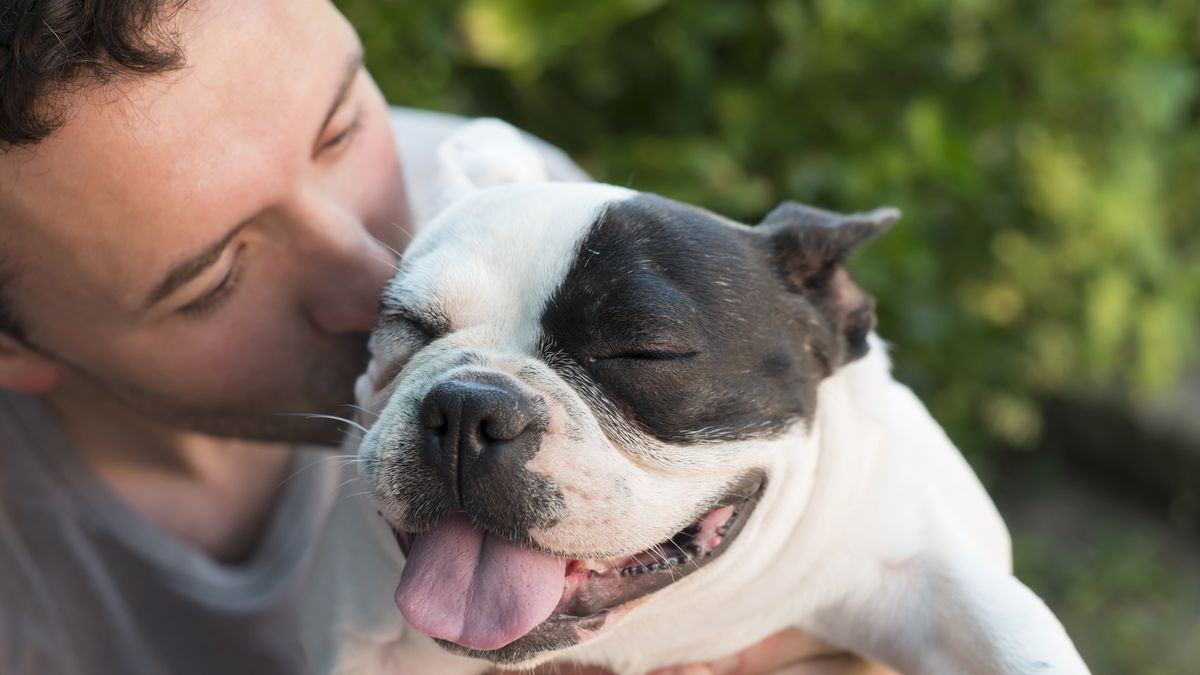 preview for 15 Cutest Dog Breeds