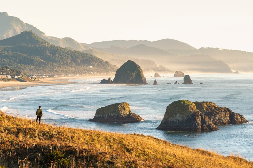 man looking at view, ecola state park, cannon beach, oregon, usa