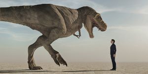 man looking up to an aggressive dinosaur , tyrannosaurus rex the concept of courage this is a 3d render