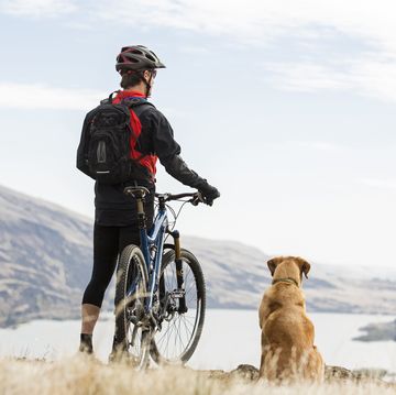 bikejoring