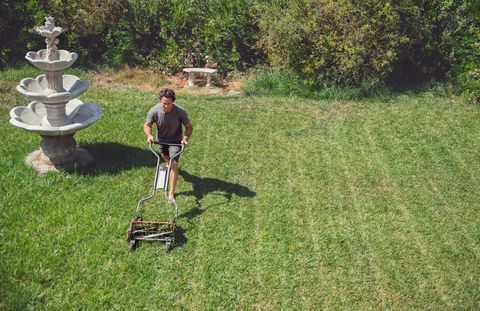 spring lawn preparation, 6 steps to prepare your lawn for summer