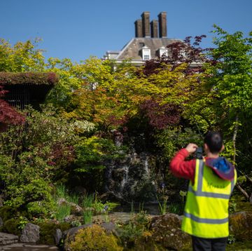 preparations for the rhs chelsea flower show 2023