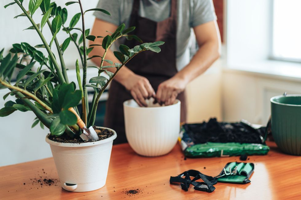 man pours earth from his hands into white pot