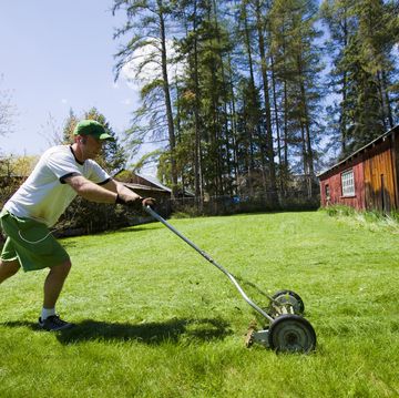man pushing manual lawn mower to cut grass