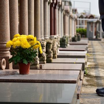 man put flower in front of tomb of ancestor