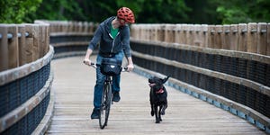 A man rides his bike in the forest with his dog on a wooden pedestrian bridge.