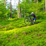 man riding a mountain bike on a trail in the forest, klagenfurt, austria