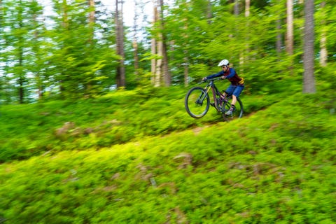 man riding a mountain bike on a trail in the forest, klagenfurt, austria