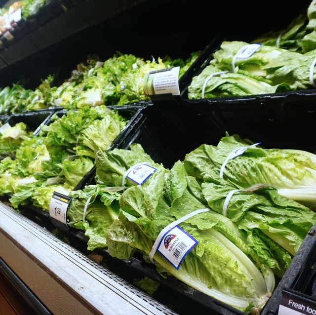 romaine lettuce e coli outbreak 2020 recall