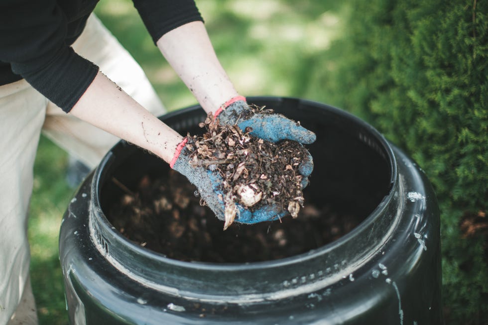 Compost bin how to make compost