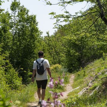 man trekking in the beaver forests in vezirköprü, black sea region, samsun province