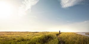 why am i so lonely man walking down country path at sunset