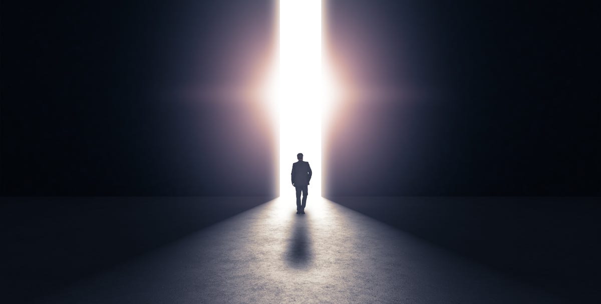 What Do You See When You Die? Consciousness-Like Activity in Dying Brains Offers Some Hints