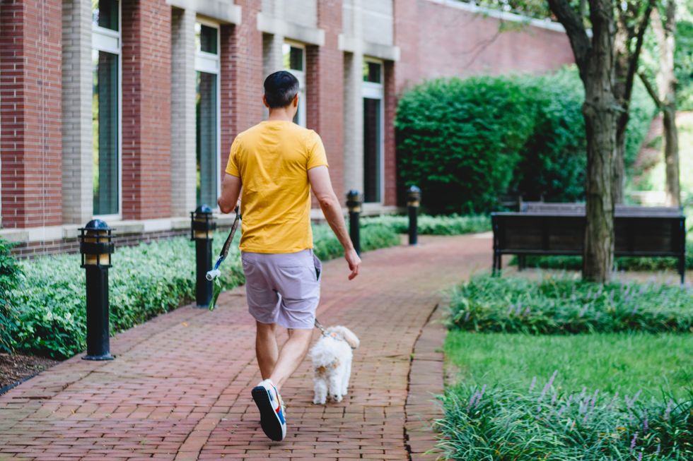 man walks his dog in office park