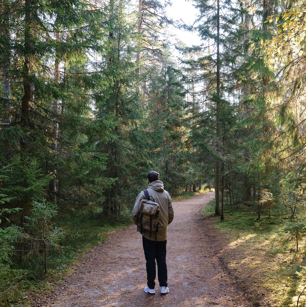 a man with a backpack on an empty road walks forward along the forest hike along the hiking trail outdoor adventure travel and exploration healthy lifestyle, active rest