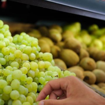 sample grapes before buying