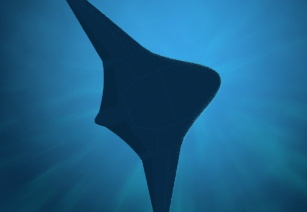 manta ray drone