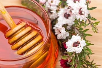 manuka honey in a glass jar alongside manuka flowers