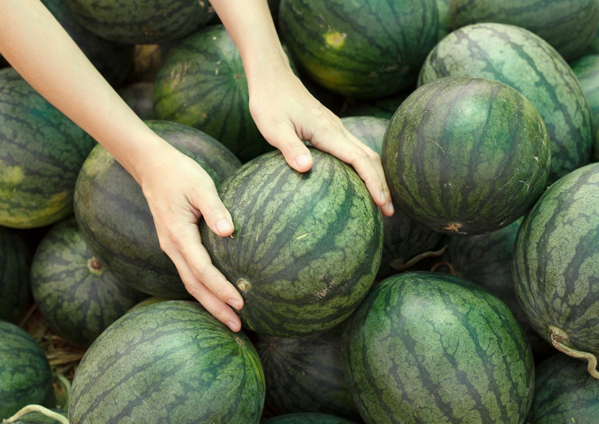 preview for Sit Back And Cool Off With Extra-Refreshing Frozen Watermelon Mojitos