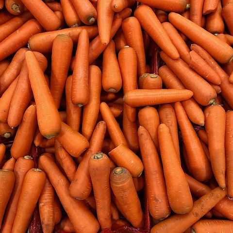 many carrots are beautifully arranged can be used as background