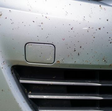 many insects crushed on the front bumper of a car
