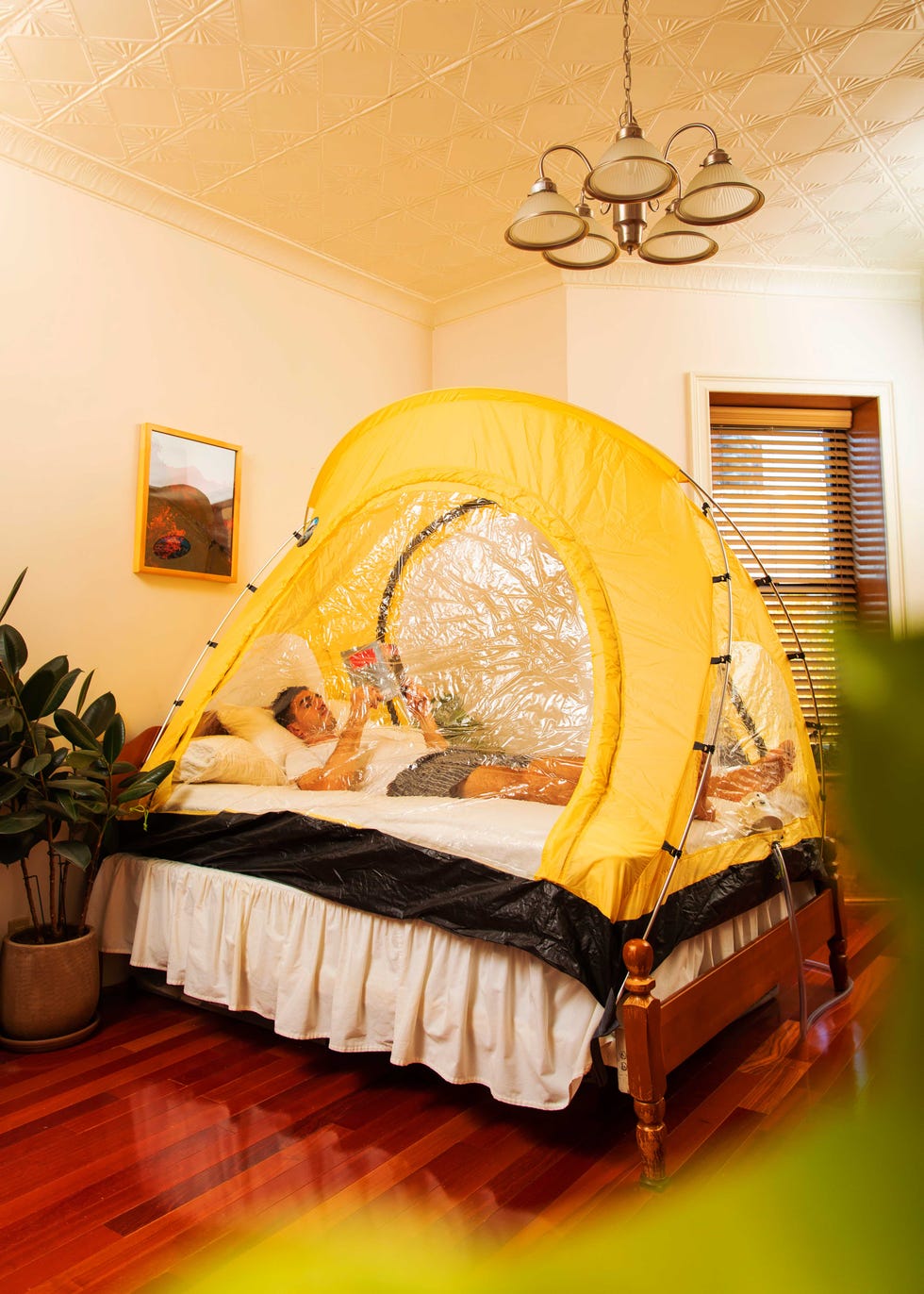 Runner in tent in bedroom in Brooklyn, NY