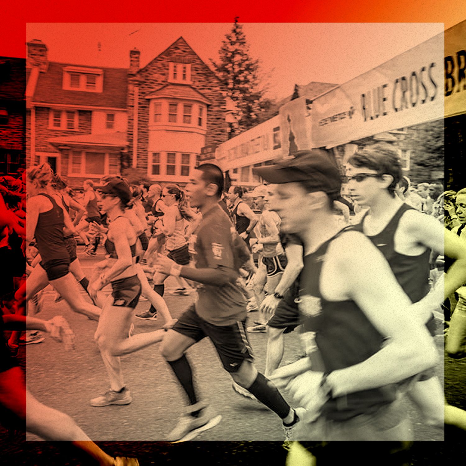 which marathon should i run