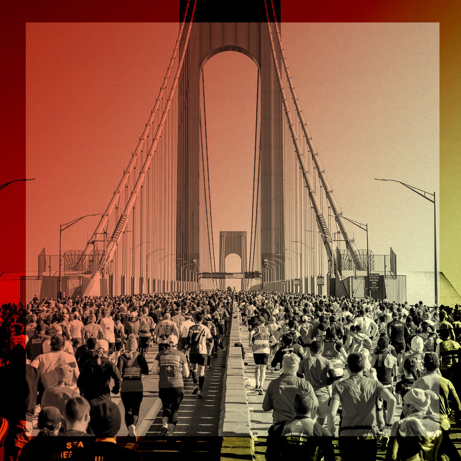 which marathon should i run