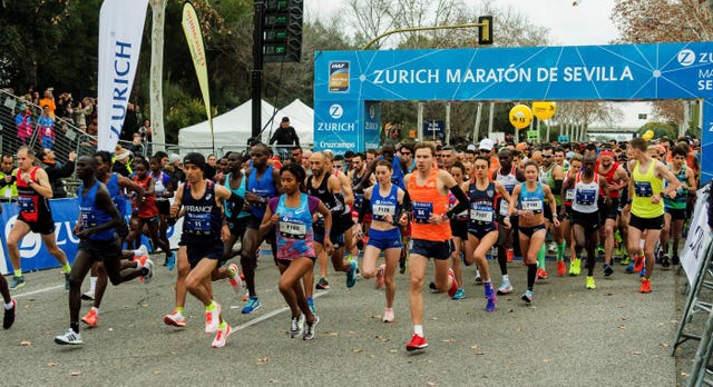 Maratón de Sevilla clasificatorio para Mundial de Grupos de Edad