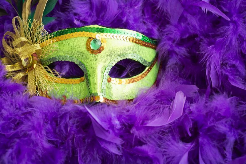 mardi gras mask on purple feathers