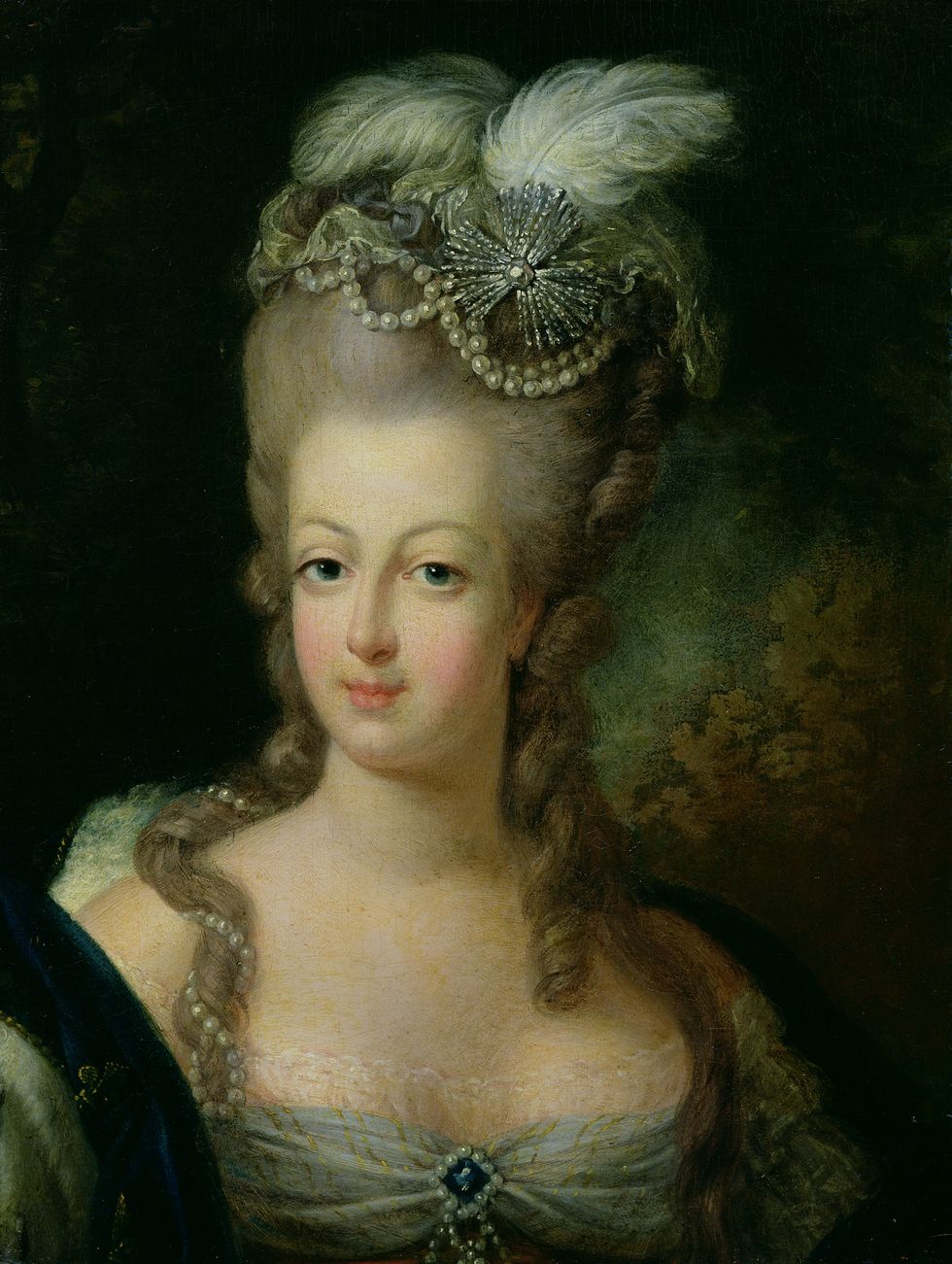 Portrait of Marie-Antoinette de Habsbourg-Lorraine (1750-93) (oil on canvas)