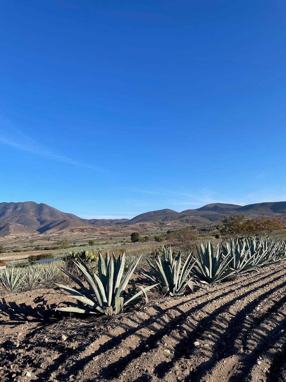 oaxaca