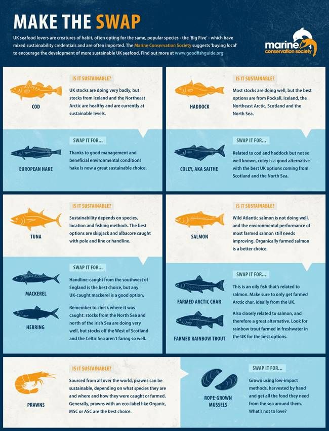 Marine Conservation Society fish guide