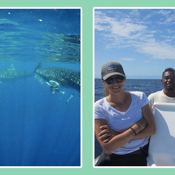 How I got my first job in: Marine Conservation
