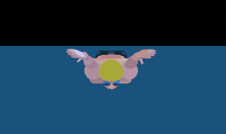 butterfly swimming