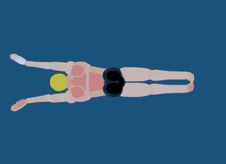 natación mariposa