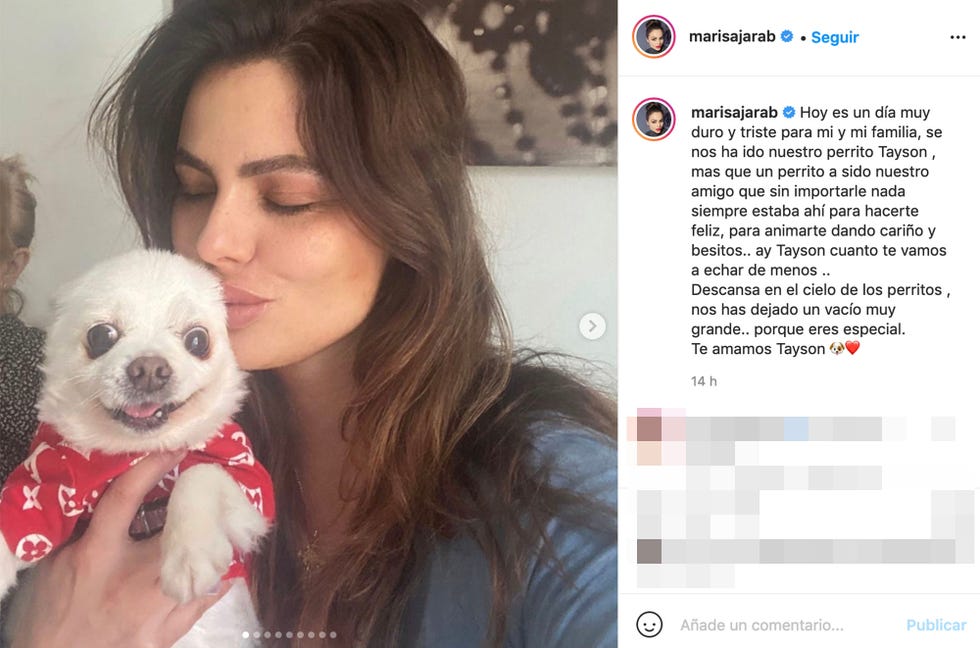 la diseñadora de joyas besa a su mascota que acaba de fallecer
