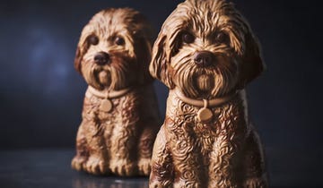 ralph cavapoo marks and spencer easter