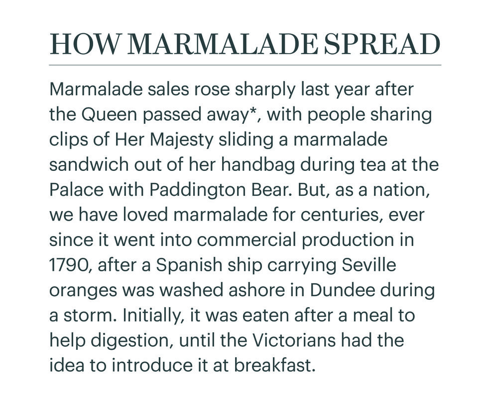 marmalade fact box