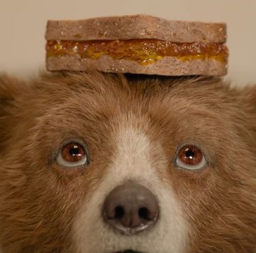 paddington bear with a marmalade sandwich on his head, paddington in peru trailer