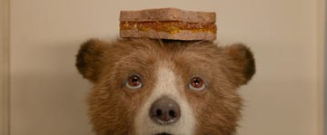 paddington bear with a marmalade sandwich on his head, paddington in peru trailer